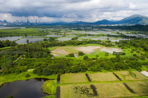 Aerial View Fish Hatchery Ponds Hong Kong — Stock Photo, Image