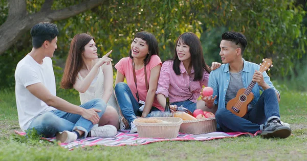 Amigos Más Jóvenes Divirtiéndose Picnic Parque — Foto de Stock