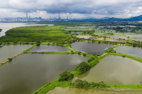 Top view of Fish hatchery ponds