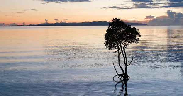 Deniz Gökyüzü Günbatımı Altında Ishigaki Adası Nda — Stok fotoğraf