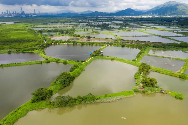 Drone Volar Sobre Los Estanques Incubación Peces —  Fotos de Stock