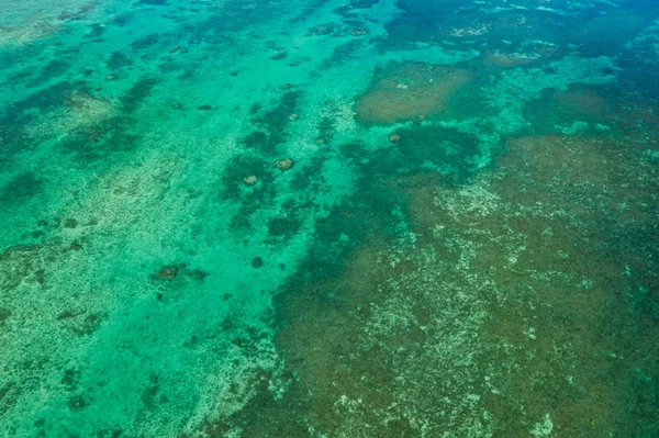 白天在石垣岛的海 — 图库照片