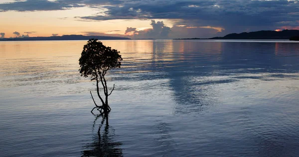 Mar Céu Sob Pôr Sol Ilha Ishigaki — Fotografia de Stock