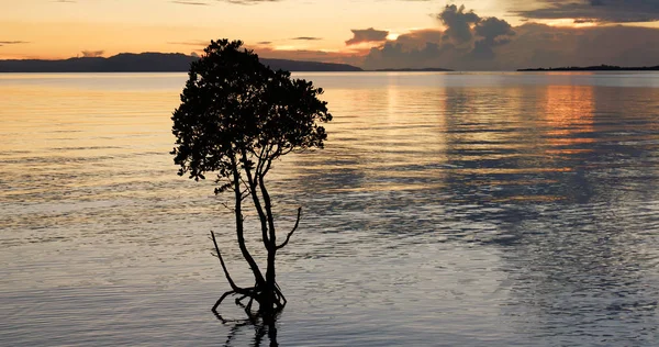 Pôr Sol Mar Ilha Ishigaki — Fotografia de Stock