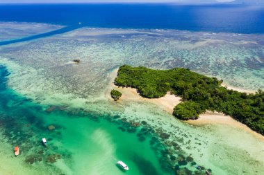 Çalıştığı Bay Ishigaki Island, Japonya