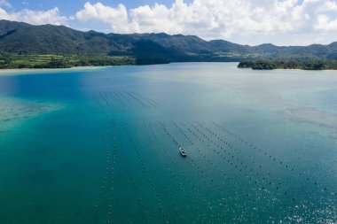 Çalıştığı Bay Ishigaki Island, Japonya