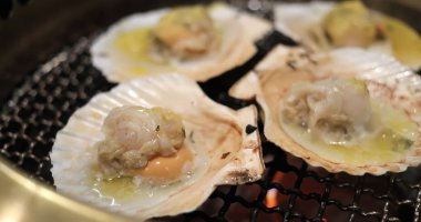 Metal net Barbekü restoranı tarak