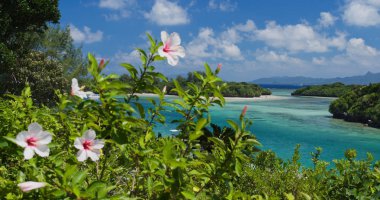 Çalıştığı Bay Ishigaki Island, Japonya