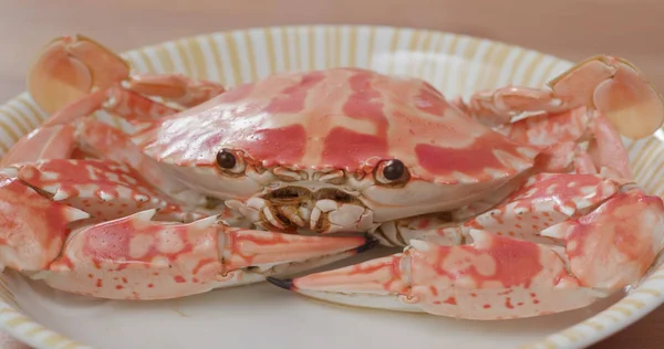 Steamed Flower Crab Plate — Stock Photo, Image