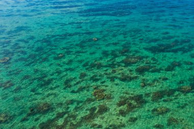 Kristal berraklığında su Ishigaki Adası