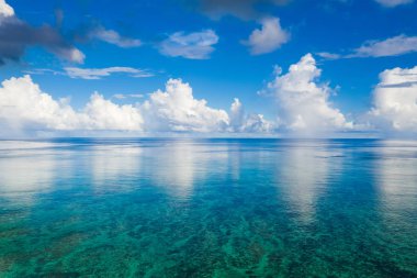 Ishigaki Adası Deniz Japonya'da