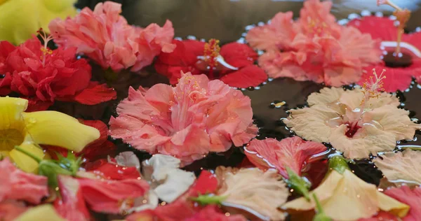 Hibiscus Flowers Decoration Okinawa Resort — Stock Photo, Image