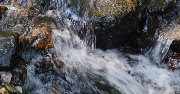 Lac Cascade Dans Forêt — Photo