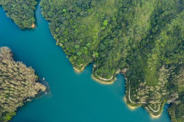 Göl ve orman üstten görünüm