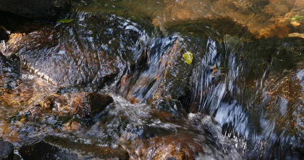 森の中の美しいカスケード川 — ストック写真