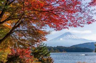 Sonbaharda akçaağaç ağaç ve dağ Fuji