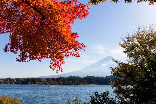 Maple Tree Mountain Fuji Autumn — Stock Photo, Image