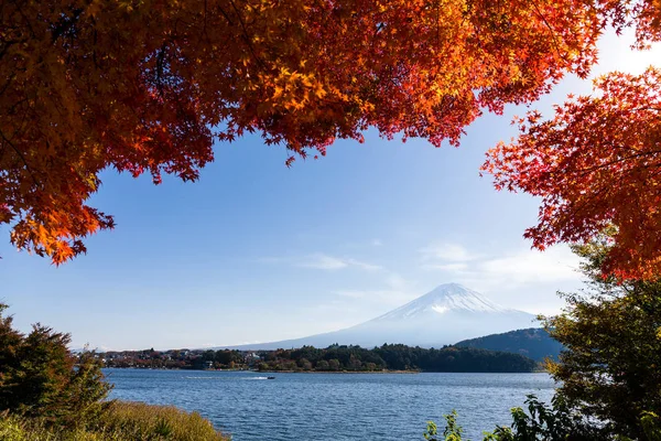 Montagne Fuji Érable Automne — Photo