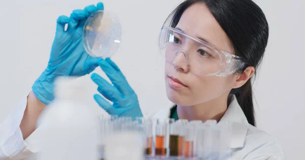Cientista Fazendo Experiência Olhar Para Placa Petri — Fotografia de Stock