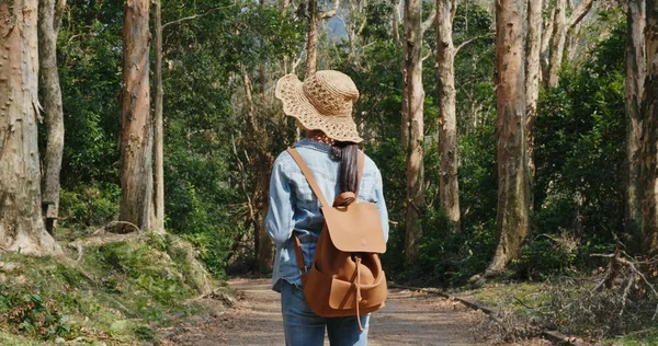 Mujer Yendo Excursión Bosque — Foto de Stock