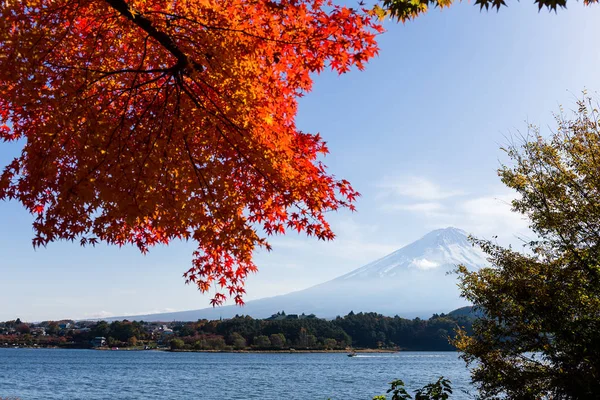 Maple Tree Mountain Fuji — Stock Photo, Image