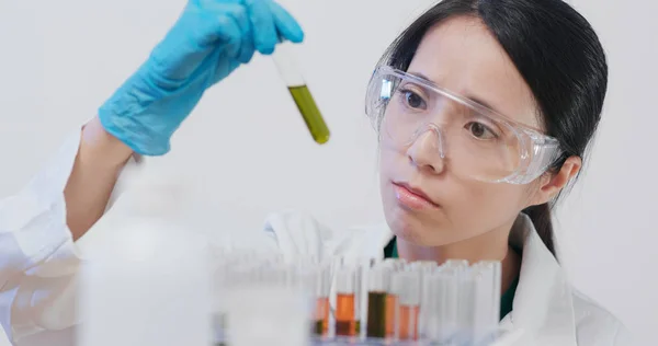 Cientista Que Faz Observação Tubo Ensaio — Fotografia de Stock