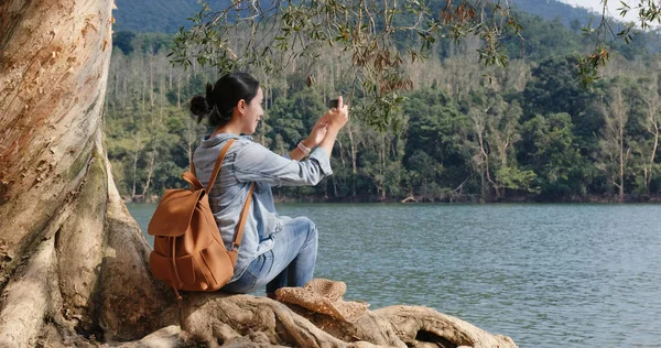 Женщина Фотографируется Мобильный Телефон Сидит Старом Корне Дерева Лесу — стоковое фото