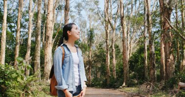 Zam, orman bakarak kadın