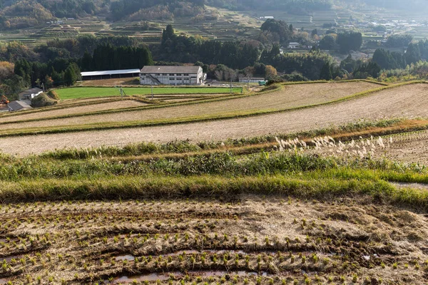 昼間で伝統的な日本の田舎 — ストック写真
