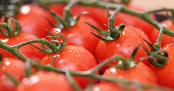 Tomate Cereja Vermelho Closeup — Fotografia de Stock