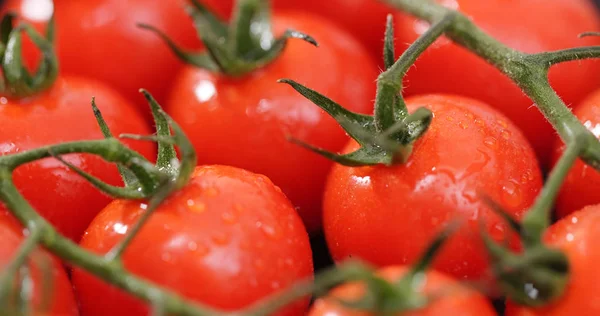 Κόκκινες Ντομάτες Cherry Closeup — Φωτογραφία Αρχείου