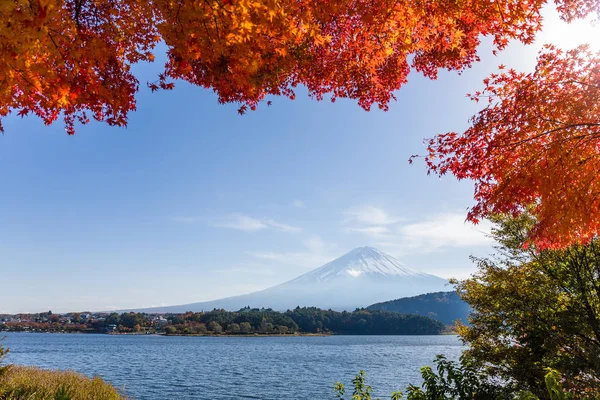 Fuji Hegy Juhar — Stock Fotó