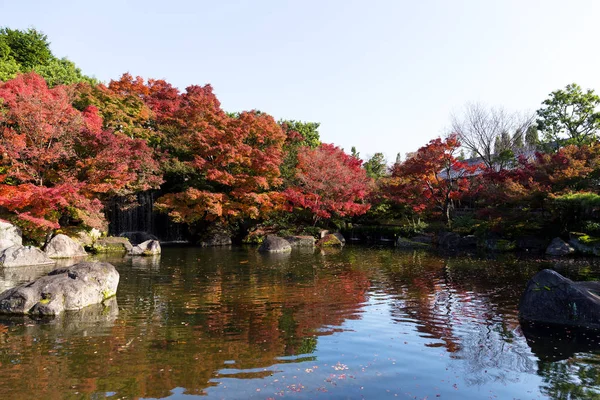 Sonbaharda Japon Bahçesi — Stok fotoğraf