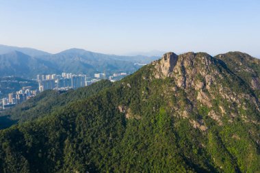 Hong Kong aslan dağı.