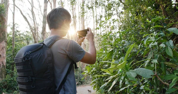 Мужчина Фотографирует Мобильный Телефон Лесу Солнечной Вспышкой — стоковое фото