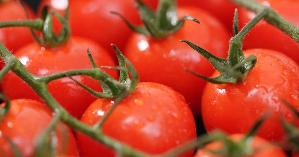 Rote Kirschtomaten Nahaufnahme — Stockfoto