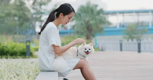 Frau Geht Mit Ihrem Pommerschen Hund Aus — Stockfoto