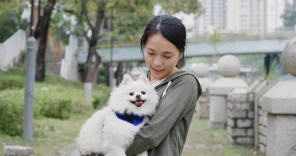 屋外の公園でポメラニアン犬と女遊び — ストック写真