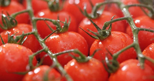 Tomate Cereja Vermelho Closeup — Fotografia de Stock