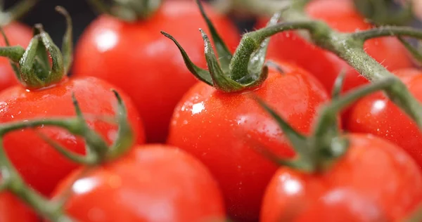 Rote Kirschtomaten Nahaufnahme — Stockfoto