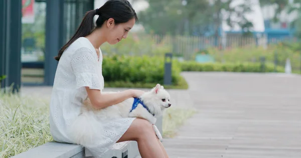 Mulher Tocar Seu Cão Pomerânia — Fotografia de Stock