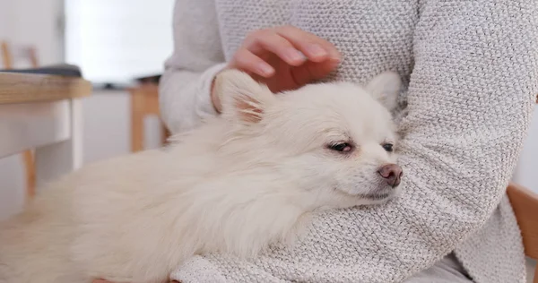 Wanita Memeluk Anjing Pomeranianya — Stok Foto