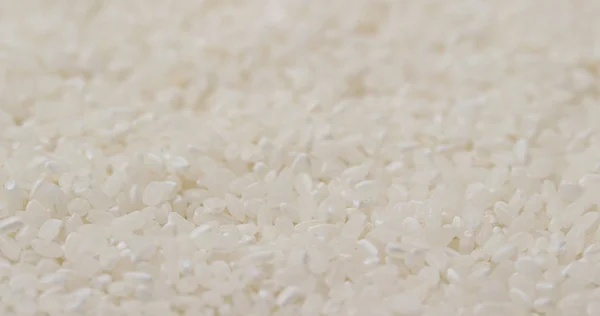 Arroz Blanco Sin Cocer Cerca — Foto de Stock