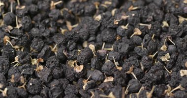 Kuru Lycium Rutenicum sırayla 