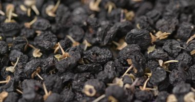 Kuru Lycium Rutenicum sırayla 