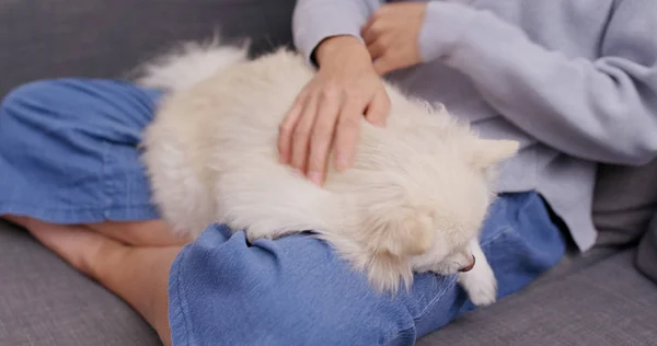 Mujer Abrazando Perro Pomerania — Foto de Stock