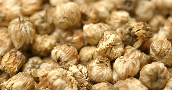 Trockener Chrysanthemen Kräutertee — Stockfoto