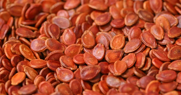 Красные Семена Арбуза — стоковое фото