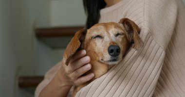 Kadın evinde köpeğine dokunuyor.