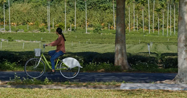 Mujer Montar Bicicleta Campo —  Fotos de Stock